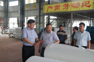 肖立新深入桃江縣環(huán)宇紡織新材料科技走訪調(diào)研，共謀紡織科技研究服務新篇章